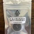 Sell: P-Red Hashplant from CSI Humboldt