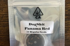 Vente: Dog Shit x Panama Red from CSI Humboldt