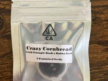 Vente: Crazy Cornbread from CSI Humboldt