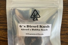 Vente: G’s Diesel Kush from CSI Humboldt