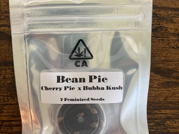 Vente: Bean Pie from CSI Humboldt