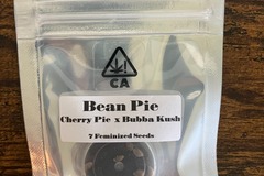 Venta: Bean Pie from CSI Humboldt