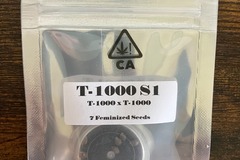Sell: T-1000 S1 from CSI Humboldt