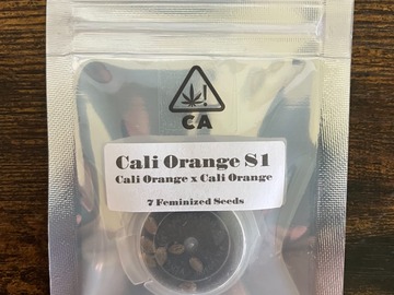Sell: Cali Orange S1 from CSI Humboldt