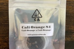 Venta: Cali Orange S1 from CSI Humboldt