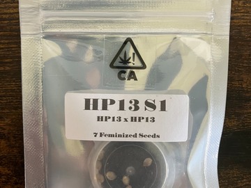 Sell: HP13 S1 from CSI Humboldt