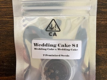 Venta: Wedding Cake S1 from CSI Humboldt
