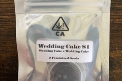 Vente: Wedding Cake S1 from CSI Humboldt