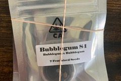 Venta: Bubblegum S1 from CSI Humboldt