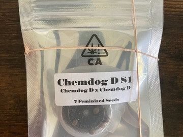 Venta: Chemdog D S1 from CSI Humboldt