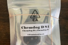 Vente: Chemdog D S1 from CSI Humboldt