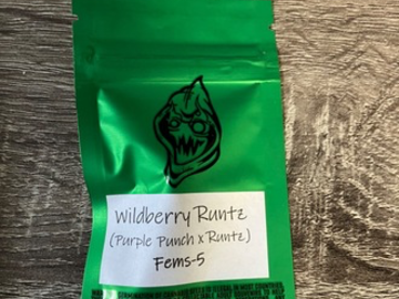 Sell: Robinhood Seeds- Wildberry Runtz