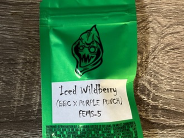 Sell: Robinhood Seeds- Iced Wildberry