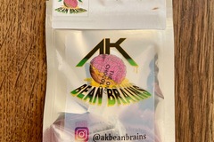 Vente: AK Bean Brains - The One x Chocolope