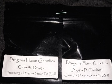 Venta: Celestial Dragon regulars by Dragon Flame Genetics