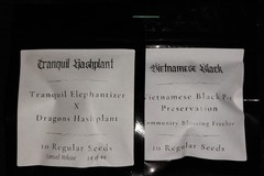 Venta: Tranquil Hashplant regular by Dragons Flame Genetics