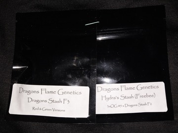 Vente: Dragons Stash f3 regular seeds by Dragons Flame Genetics