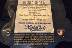 Vente: Night Owl Seeds Tyrone Stomper F7 5 pack