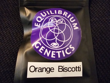 Sell: Equilibrium Genetics Orange Biscotti 8 Pack