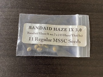 Sell: Doc D Band Aid Haze IX 3.0