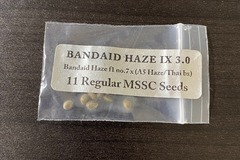 Vente: Doc D Band Aid Haze IX 3.0