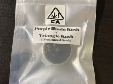 Sell: CSI Purple Hindu Kush x Triangle Kush