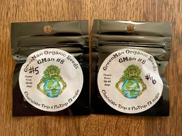 Vente: GreenMan Organic Seeds - Chocolate Trip x Flo Trip F2