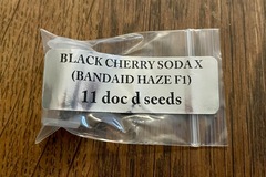 Sell: Doc D Seeds - Black Cherry Soda x Bandaid Haze