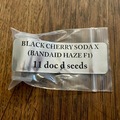 Vente: Doc D Seeds - Black Cherry Soda x Bandaid Haze