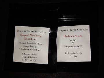 Sell: Dragons Macberry Moonshine 10 R seeds by Dragons Flame Genetics