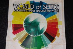 Sell: Wild Thailand, 3 feminized seeds by World of Seeds