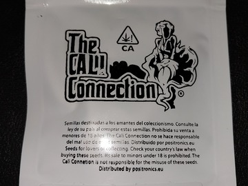 Vente: Green Crack, 6 feminized seeds by The Cali Connection