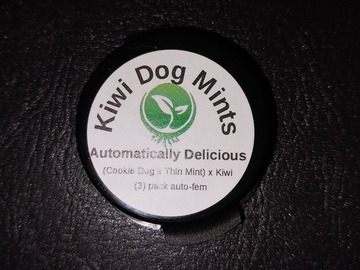 Venta: Kiwi Dog Mints Auto, 3 seeds by Automatically Delicious