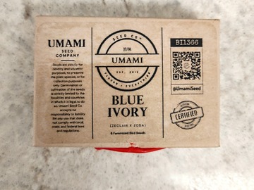 Vente: Blue Ivory by Umami Seed Company
