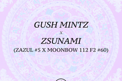 Vente: Gush Mintz (Purple City) x Zsunami (Archive)