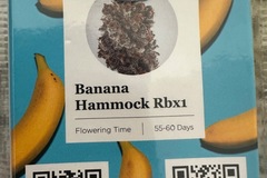 Venta: Banana Hammock RBX1 by Ethos