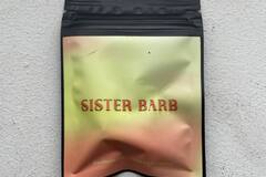 Venta: Sister Barb (Fem)