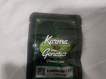 Vente: Karma Genetics lemontini .SUPER DUPER RARE    