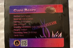 Vente: Gare Bears from Exotic Genetix