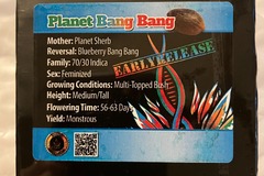 Sell: Planet Bang Bang from Exotic Genetix