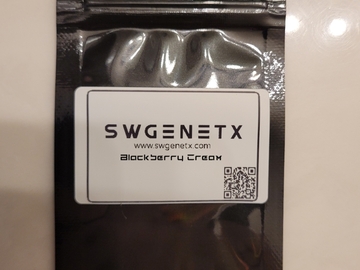 Venta: SALE - Blackberry Cream - 12 Regs