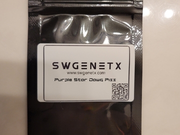 Auction: Auction - Purple Stardawg Piss