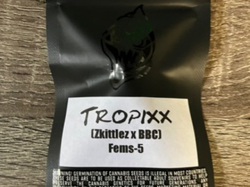 Vente: Square  One Genetics- Tropixx