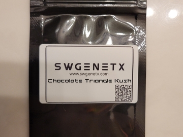 Subastas: Auction - Triangle Kush x Chocolate Thai - 12 Regs
