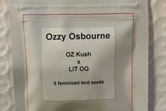 Auction: (auction) Ozzy Osbourne from LIT Farms