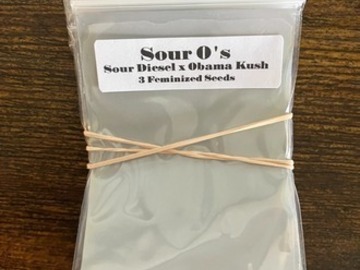 Auction: (AUCTION) Sour O's from CSI Humboldt