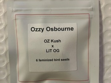 Subastas: (auction) Ozzy Osbourne from LIT Farms