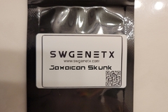 Vente: Jamaican Skunk (Skunk Cookies x Jamaican) - 12 Regs