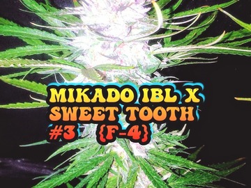 Venta: Mikado IBL x Sweet Tooth #3     {f-4} HEIRLOOM
