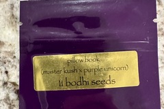 Sell: Pillowbook by Bodhi Seeds